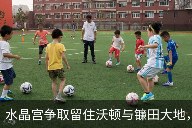 水晶宫争取留住沃顿与镰田大地，续约莱尔马成新进展